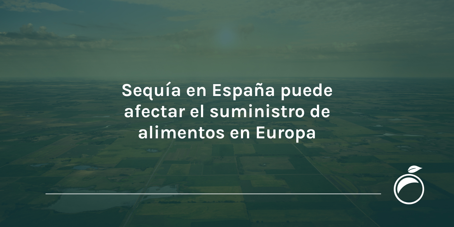 Sequía en España puede afectar el suministro de alimentos en Europa