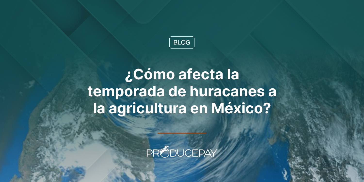 ¿Cómo afecta la temporada de huracanes a la agricultura en México?