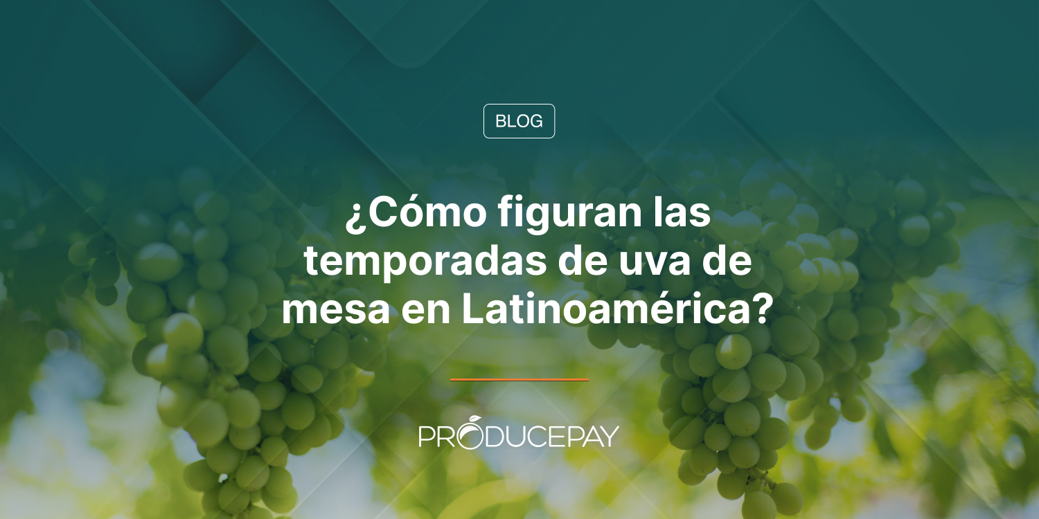 ¿Cómo figuran las temporadas de uva de mesa en Latinoamérica?
