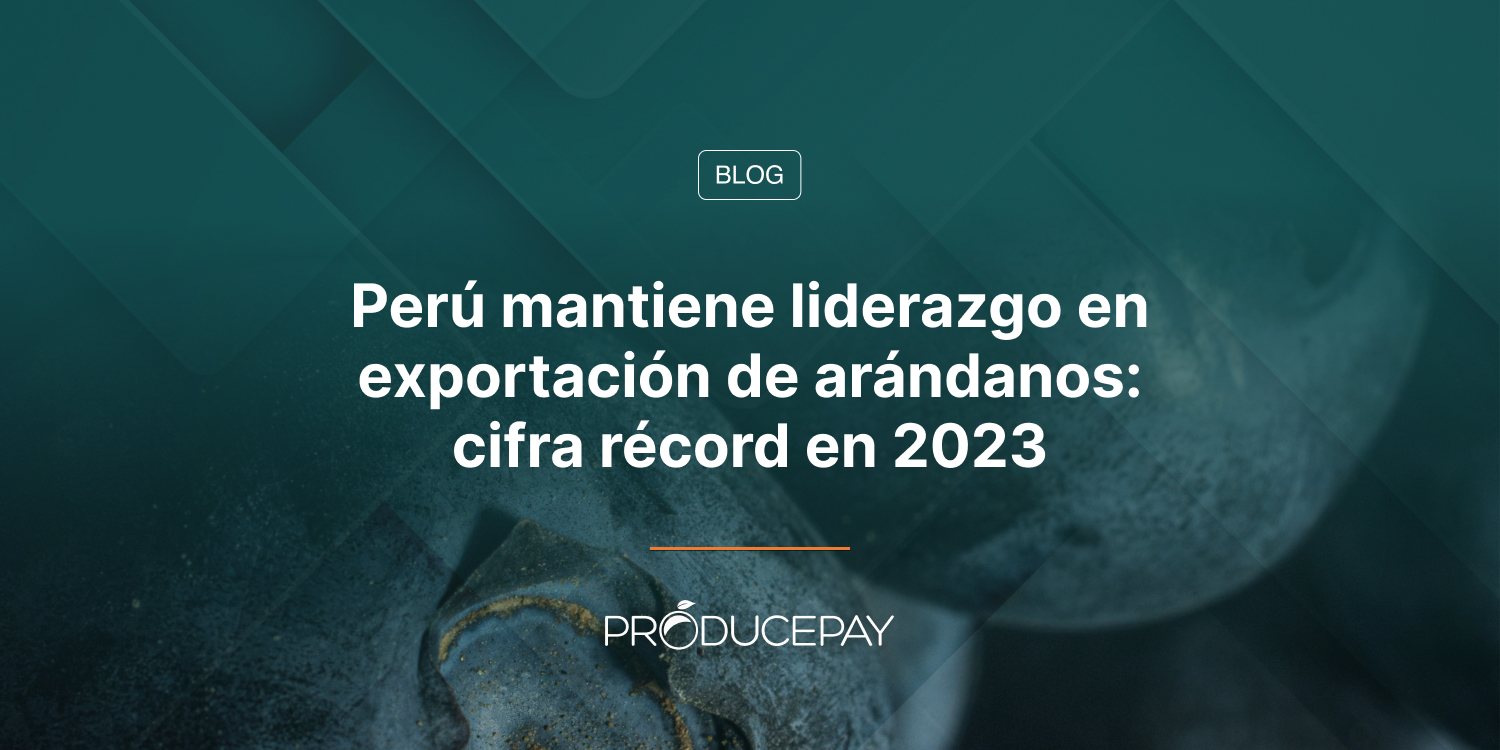 Perú mantiene liderazgo en exportación de arándanos: cifra récord en 2023