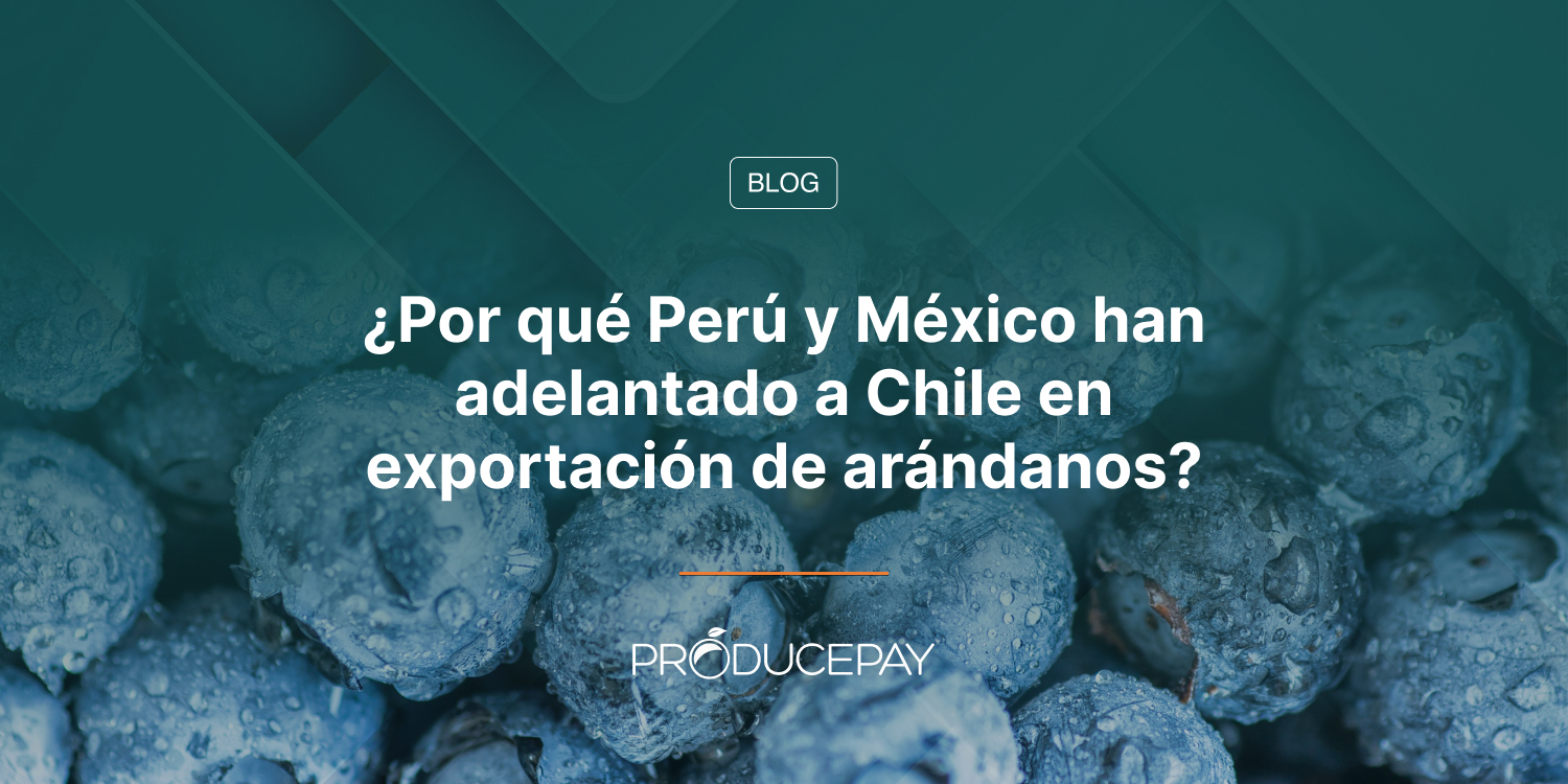 ¿Por qué Perú y México han adelantado a Chile en exportación de arándanos?