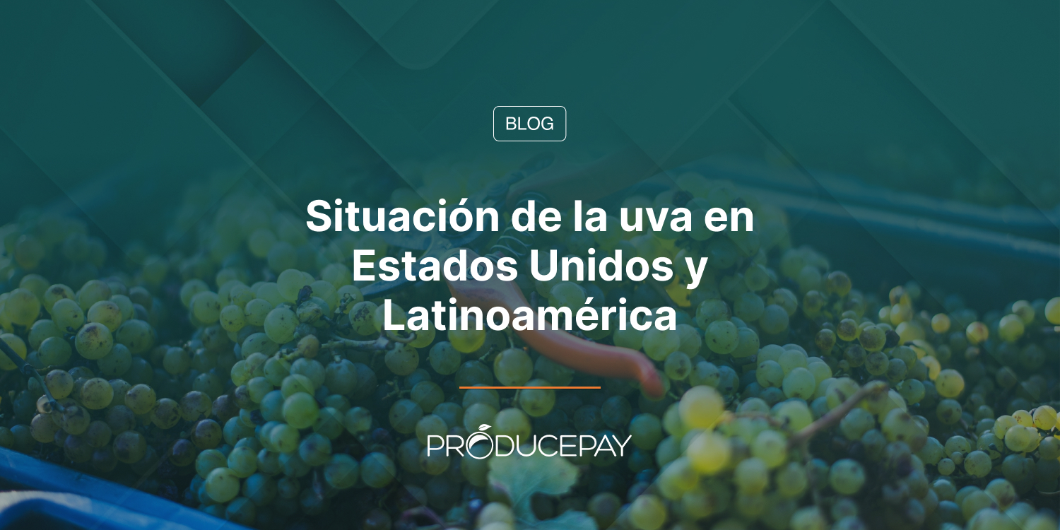 Situación de la uva en Estados Unidos y Latinoamérica