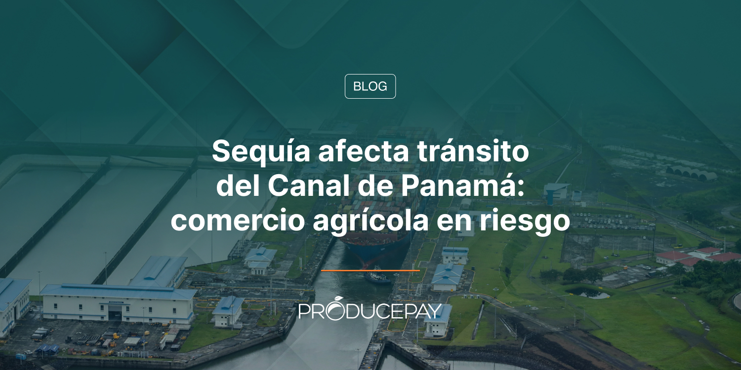 Sequía afecta tránsito del Canal de Panamá: comercio agrícola en riesgo