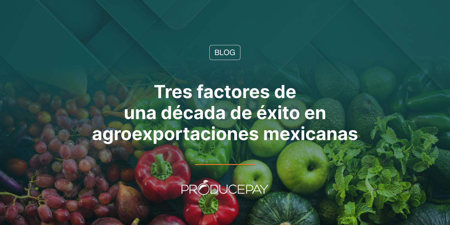 Tres factores de una década de éxito en agroexportaciones mexicanas